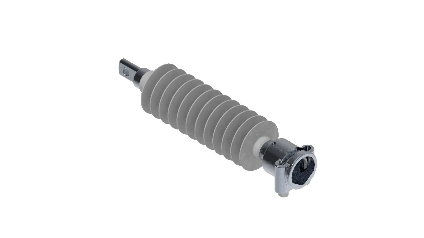 Insulators with tongue caps-tube caps